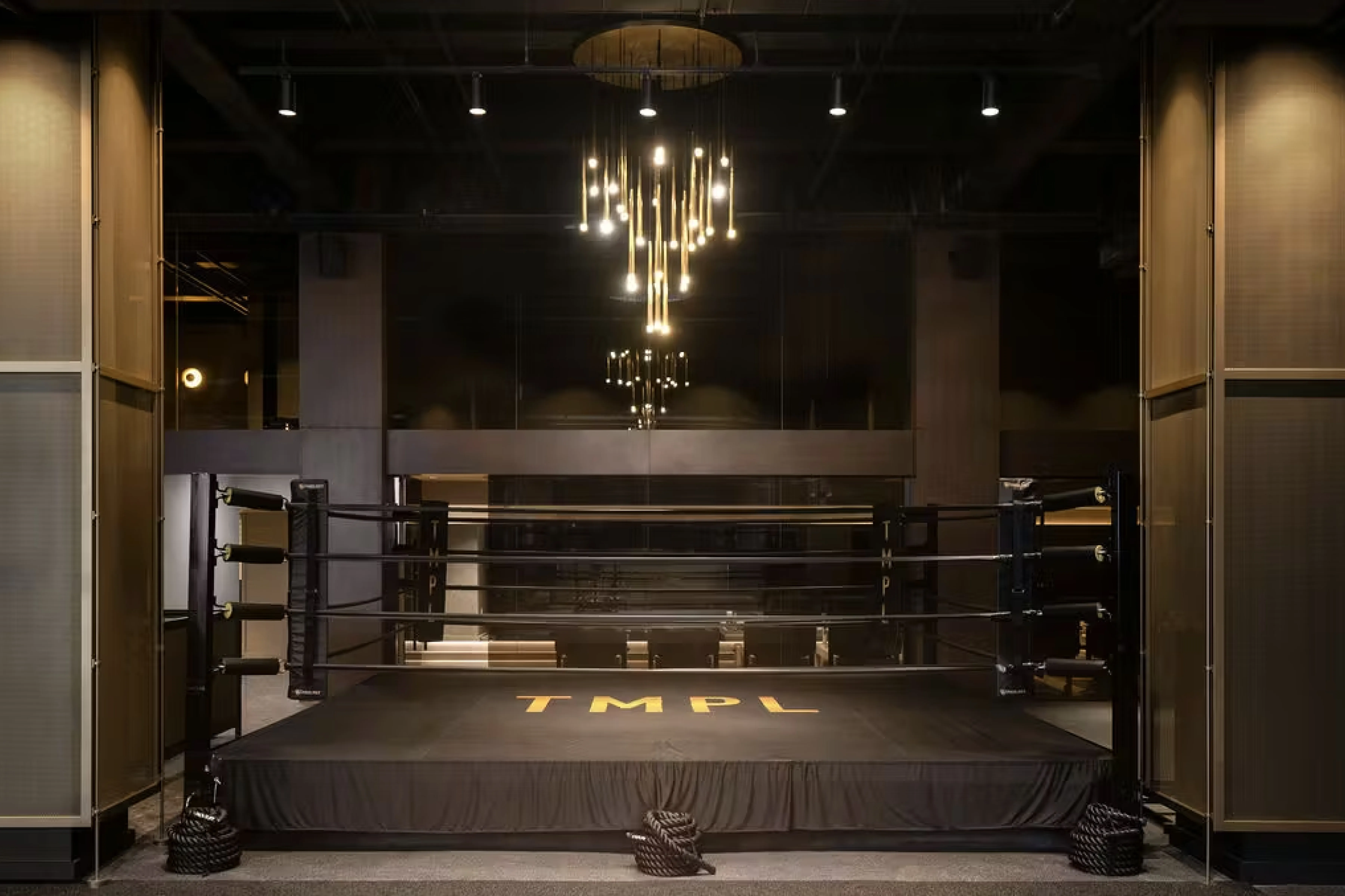 How TMPL Achieved a 1,770% ROI in 90 Days With Zero Ad Spend