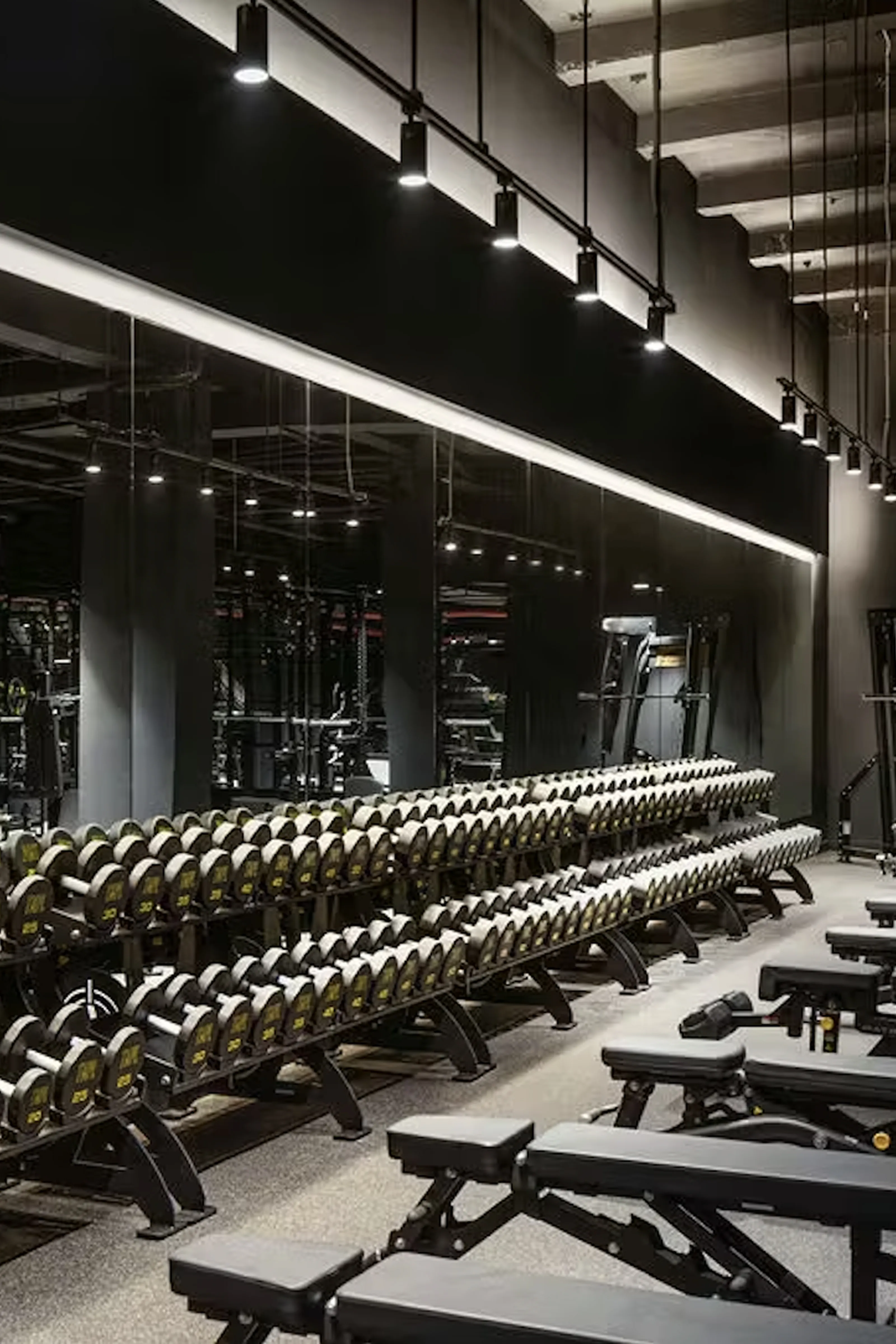A sleek strength-training area at TMPL Club featuring rows of premium dumbbells, mirrored walls, and modern black workout benches, showcasing the gym’s upscale design and extensive weight-lifting equipment.