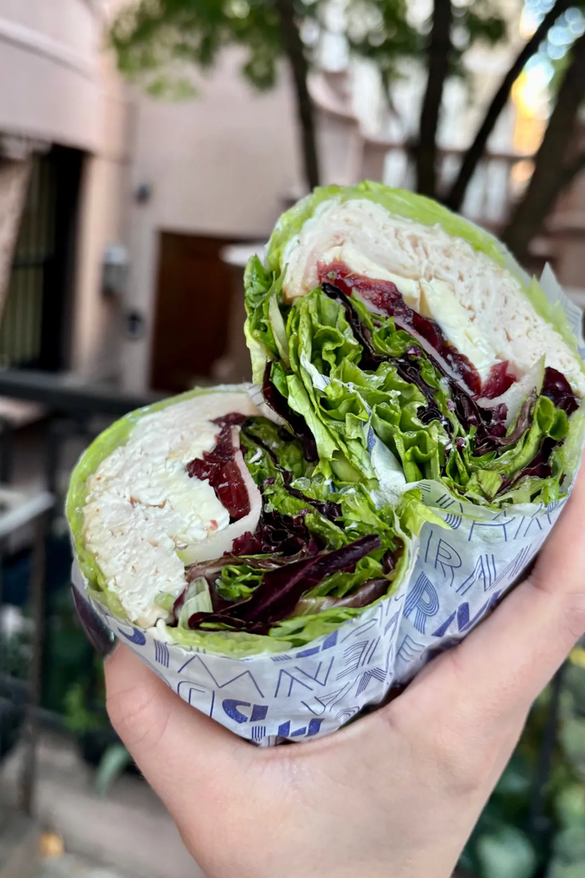 A hand holds a Lenwich turkey wrap filled with sliced turkey, cranberry sauce, fresh lettuce, and brie cheese, wrapped in Lenwich-branded paper. The background shows a brownstone-lined New York City street with soft natural light and trees, highlighting the wrap’s fresh ingredients and vibrant colors for a lifestyle-focused food shot.